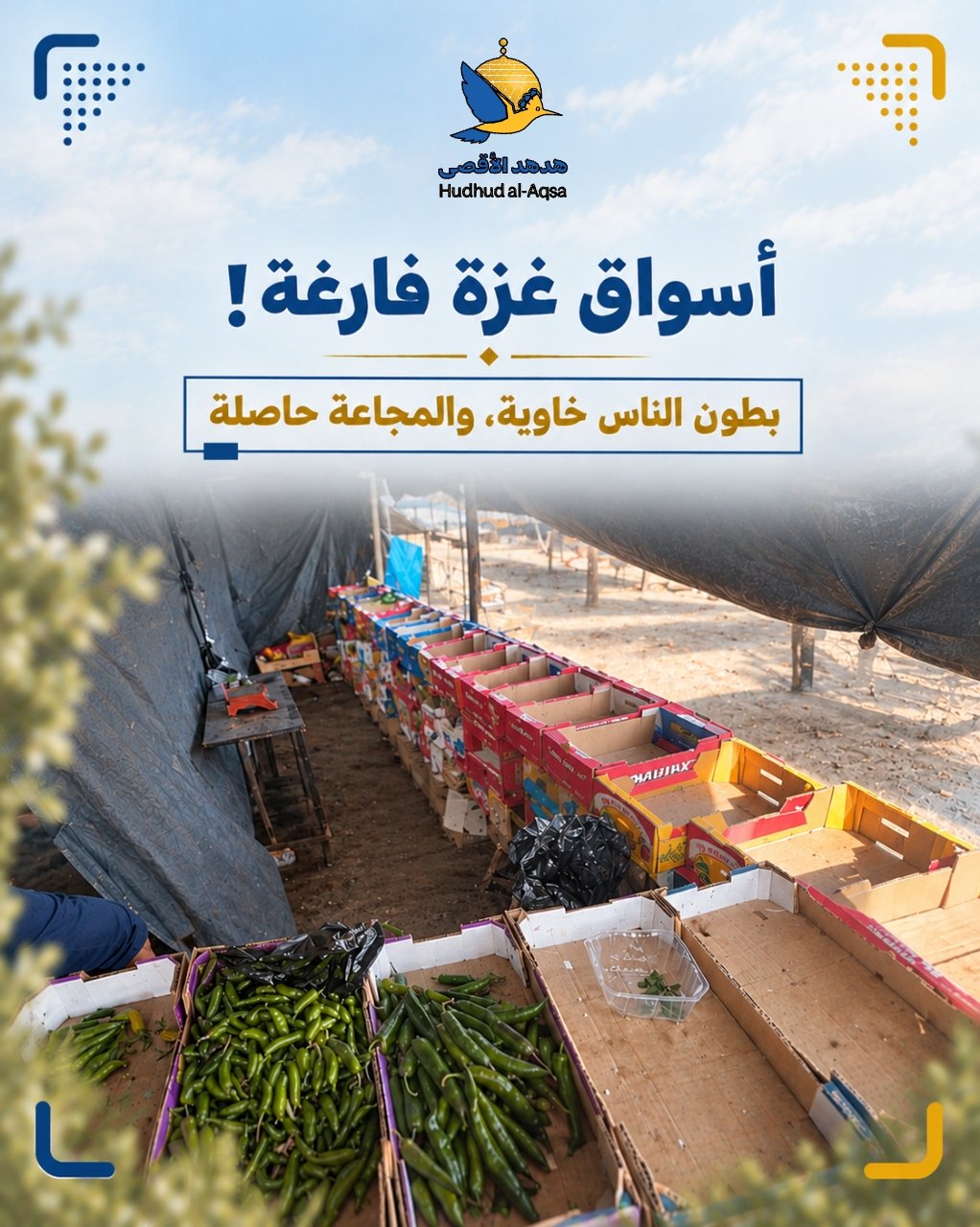 غزة تجوع! رفوفٌ فارغة، وبطونٌ خاوية، ومعاناةٌ لا تنتهي.