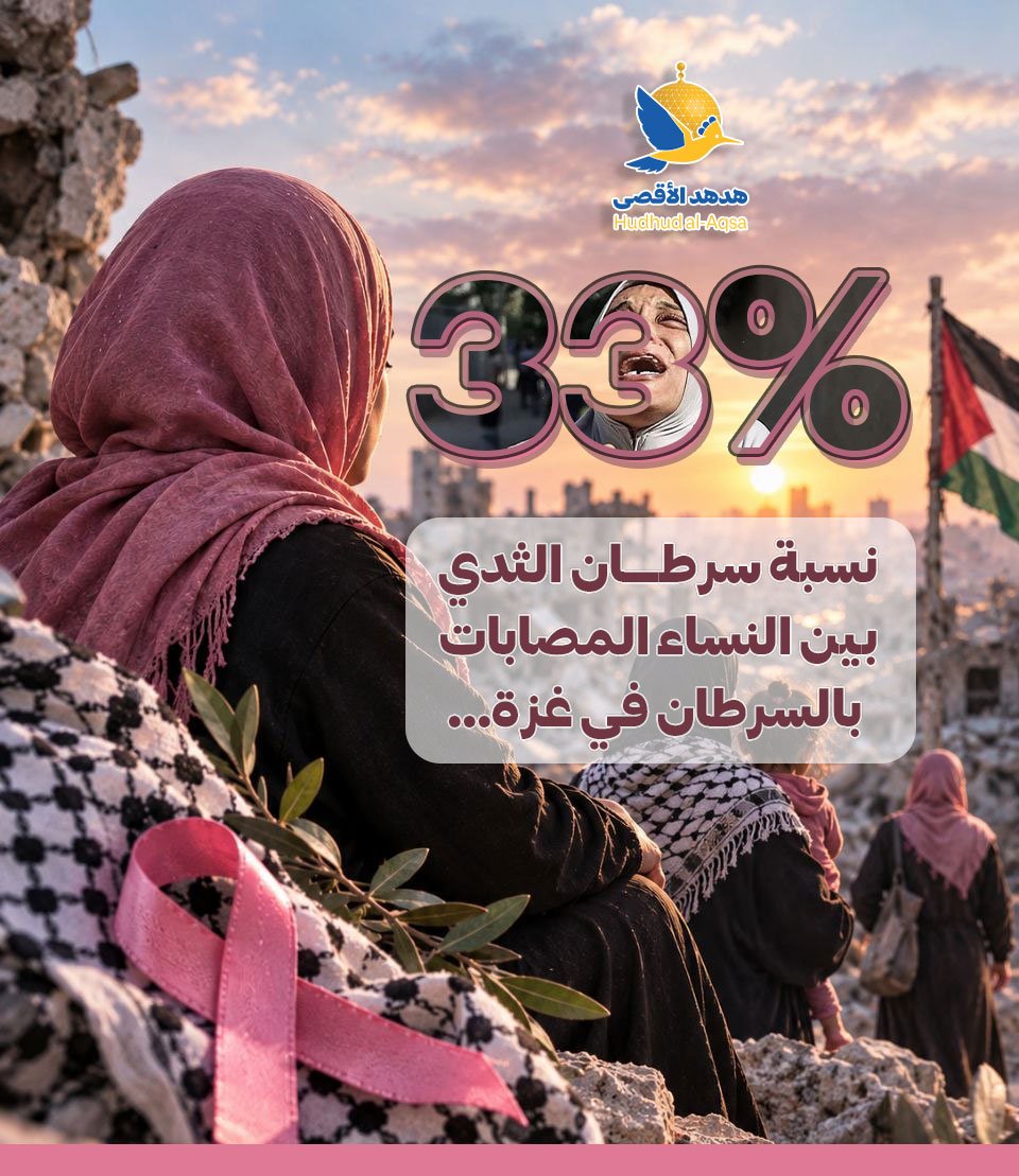 نساء غزة يعانون
